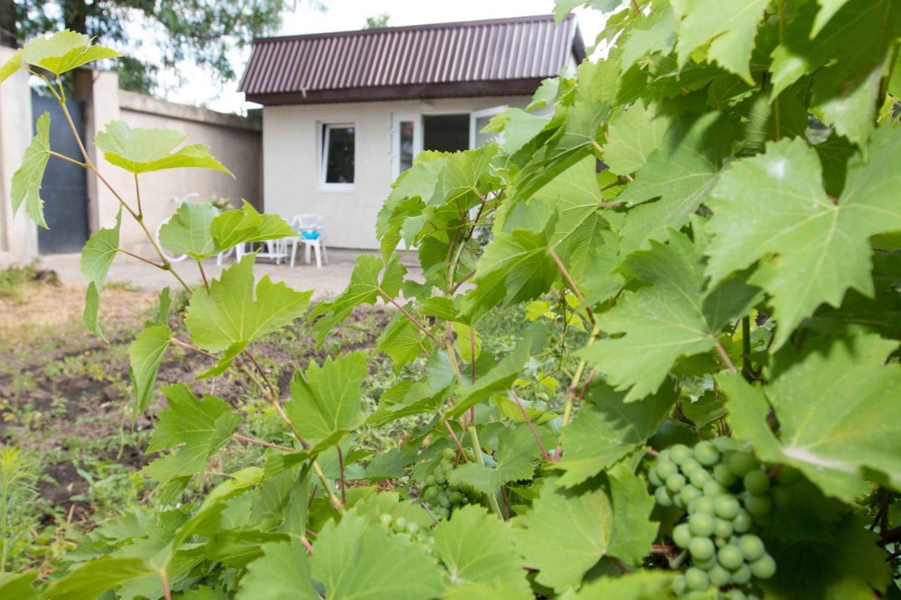 Hotel Ekonom-Domik Odessa Zewnętrze zdjęcie